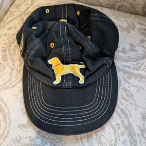 The Black Dog Black and Yellow Hat with Boston Bruins logo
